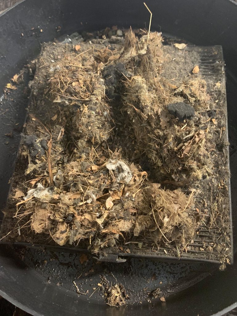 Subaru Forester air filter clogged with significant debris